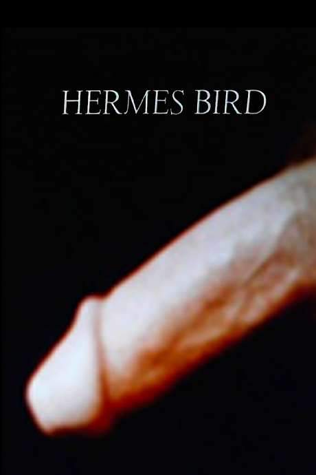 Hermes Bird
